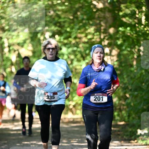 06.10.2024 - Bramfelder Halbmarathon 2024 Dr. Thomas Lammeyer http://msf.ph/oto/7342888 06.10.2024 10:54:08 Laufen 335, 201 meine-sportfotos.de