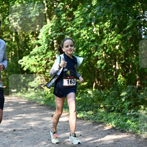 06.10.2024 - Bramfelder Halbmarathon 2024 Dr. Thomas Lammeyer http://msf.ph/oto/7343053 06.10.2024 10:54:22 Laufen 163 meine-sportfotos.de