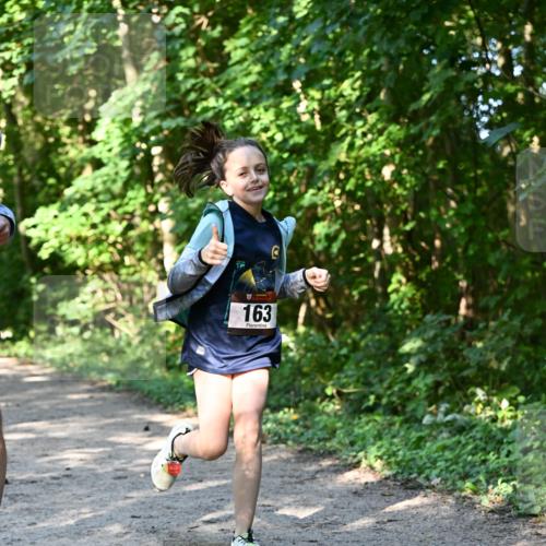 06.10.2024 - Bramfelder Halbmarathon 2024 Dr. Thomas Lammeyer http://msf.ph/oto/7343054 06.10.2024 10:54:22 Laufen 163 meine-sportfotos.de