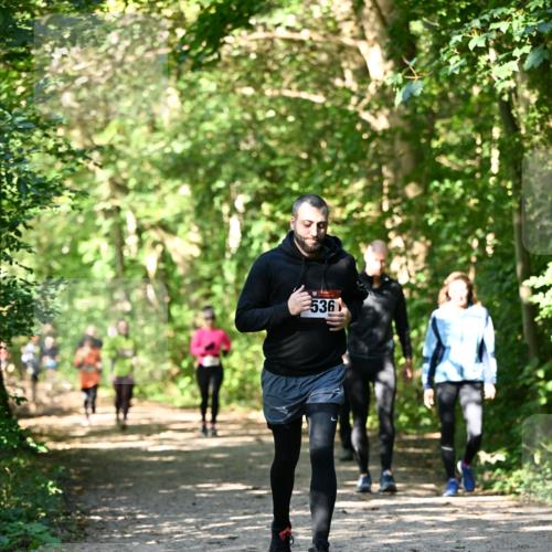 06.10.2024 - Bramfelder Halbmarathon 2024 Dr. Thomas Lammeyer http://msf.ph/oto/7343083 06.10.2024 10:54:28 Laufen 536 meine-sportfotos.de