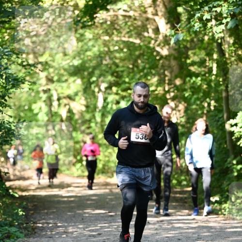 06.10.2024 - Bramfelder Halbmarathon 2024 Dr. Thomas Lammeyer http://msf.ph/oto/7343088 06.10.2024 10:54:29 Laufen 536 meine-sportfotos.de