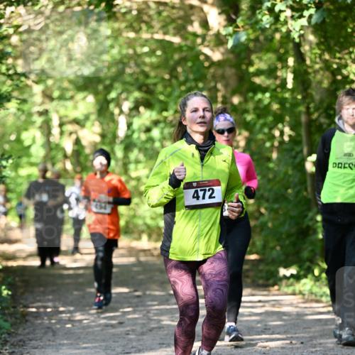 06.10.2024 - Bramfelder Halbmarathon 2024 Dr. Thomas Lammeyer http://msf.ph/oto/7343140 06.10.2024 10:54:38 Laufen 472, 3713 meine-sportfotos.de