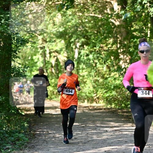 06.10.2024 - Bramfelder Halbmarathon 2024 Dr. Thomas Lammeyer http://msf.ph/oto/7343144 06.10.2024 10:54:39 Laufen 344, 494 meine-sportfotos.de