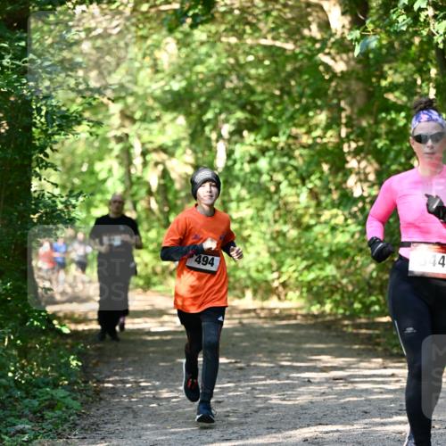 06.10.2024 - Bramfelder Halbmarathon 2024 Dr. Thomas Lammeyer http://msf.ph/oto/7343145 06.10.2024 10:54:39 Laufen 344, 494 meine-sportfotos.de