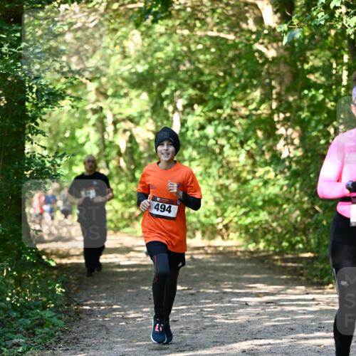 06.10.2024 - Bramfelder Halbmarathon 2024 Dr. Thomas Lammeyer http://msf.ph/oto/7343147 06.10.2024 10:54:39 Laufen 494 meine-sportfotos.de