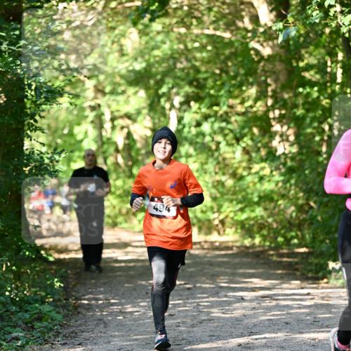 06.10.2024 - Bramfelder Halbmarathon 2024 Dr. Thomas Lammeyer http://msf.ph/oto/7343148 06.10.2024 10:54:39 Laufen 494 meine-sportfotos.de