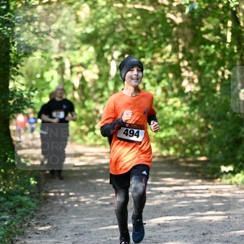 06.10.2024 - Bramfelder Halbmarathon 2024 Dr. Thomas Lammeyer http://msf.ph/oto/7343155 06.10.2024 10:54:40 Laufen 494 meine-sportfotos.de