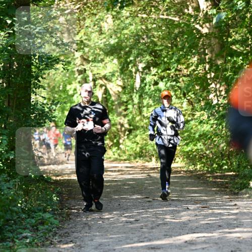 06.10.2024 - Bramfelder Halbmarathon 2024 Dr. Thomas Lammeyer http://msf.ph/oto/7343162 06.10.2024 10:54:42 Laufen  meine-sportfotos.de