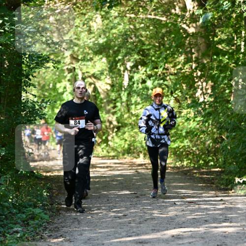 06.10.2024 - Bramfelder Halbmarathon 2024 Dr. Thomas Lammeyer http://msf.ph/oto/7343164 06.10.2024 10:54:42 Laufen 84 meine-sportfotos.de