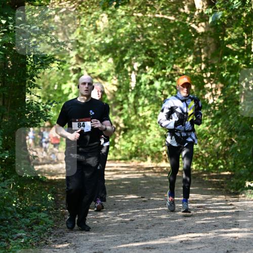 06.10.2024 - Bramfelder Halbmarathon 2024 Dr. Thomas Lammeyer http://msf.ph/oto/7343170 06.10.2024 10:54:43 Laufen 84 meine-sportfotos.de