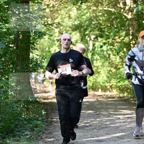 06.10.2024 - Bramfelder Halbmarathon 2024 Dr. Thomas Lammeyer http://msf.ph/oto/7343175 06.10.2024 10:54:44 Laufen 84 meine-sportfotos.de