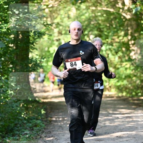 06.10.2024 - Bramfelder Halbmarathon 2024 Dr. Thomas Lammeyer http://msf.ph/oto/7343180 06.10.2024 10:54:45 Laufen 84, 72, 16 meine-sportfotos.de