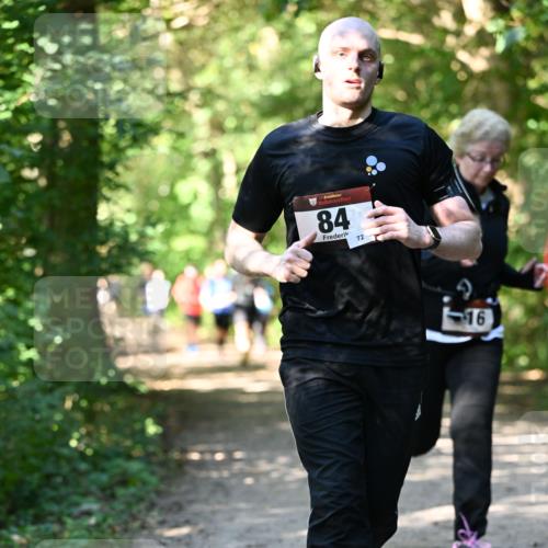 06.10.2024 - Bramfelder Halbmarathon 2024 Dr. Thomas Lammeyer http://msf.ph/oto/7343185 06.10.2024 10:54:46 Laufen 84, 72, 16 meine-sportfotos.de