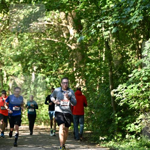 06.10.2024 - Bramfelder Halbmarathon 2024 Dr. Thomas Lammeyer http://msf.ph/oto/7343187 06.10.2024 10:54:53 Laufen 264, 126, 292 meine-sportfotos.de