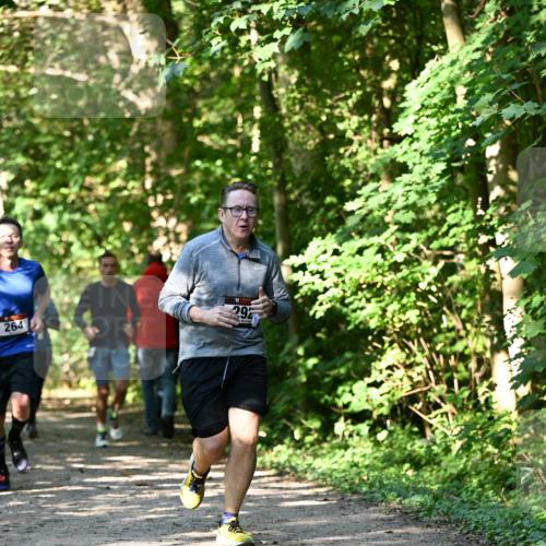 06.10.2024 - Bramfelder Halbmarathon 2024 Dr. Thomas Lammeyer http://msf.ph/oto/7343197 06.10.2024 10:54:54 Laufen 292, 264 meine-sportfotos.de