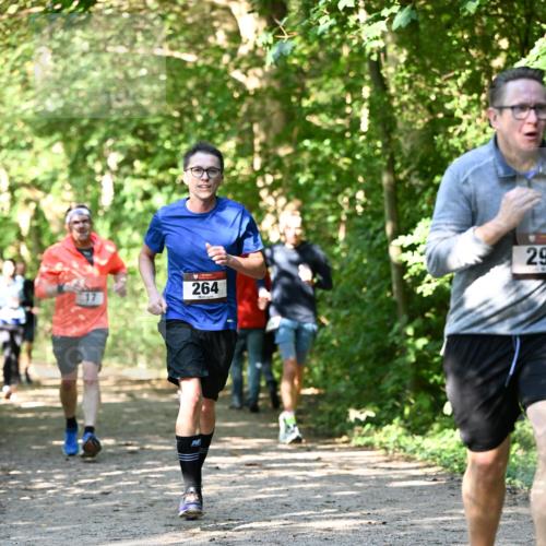06.10.2024 - Bramfelder Halbmarathon 2024 Dr. Thomas Lammeyer http://msf.ph/oto/7343203 06.10.2024 10:54:55 Laufen 264, 29 meine-sportfotos.de