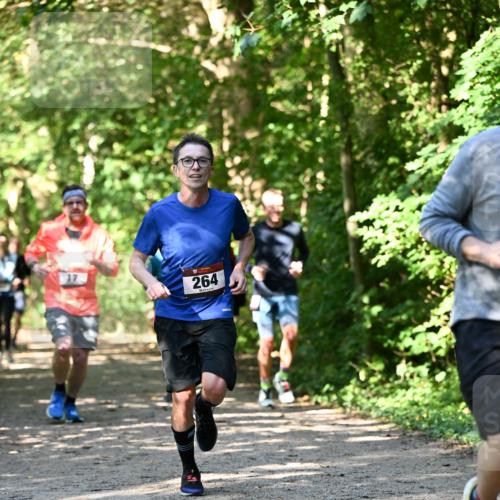 06.10.2024 - Bramfelder Halbmarathon 2024 Dr. Thomas Lammeyer http://msf.ph/oto/7343205 06.10.2024 10:54:56 Laufen 264 meine-sportfotos.de