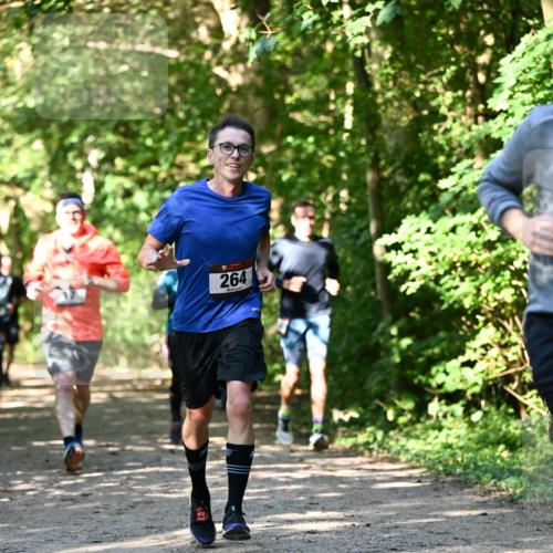 06.10.2024 - Bramfelder Halbmarathon 2024 Dr. Thomas Lammeyer http://msf.ph/oto/7343206 06.10.2024 10:54:56 Laufen 264 meine-sportfotos.de