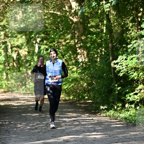 06.10.2024 - Bramfelder Halbmarathon 2024 Dr. Thomas Lammeyer http://msf.ph/oto/7343227 06.10.2024 10:55:01 Laufen  meine-sportfotos.de