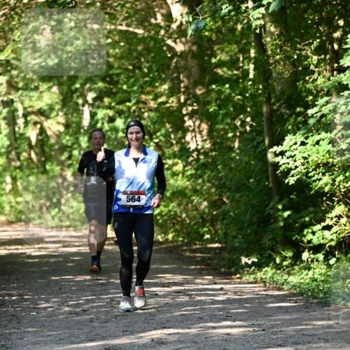 06.10.2024 - Bramfelder Halbmarathon 2024 Dr. Thomas Lammeyer http://msf.ph/oto/7343228 06.10.2024 10:55:02 Laufen 564 meine-sportfotos.de