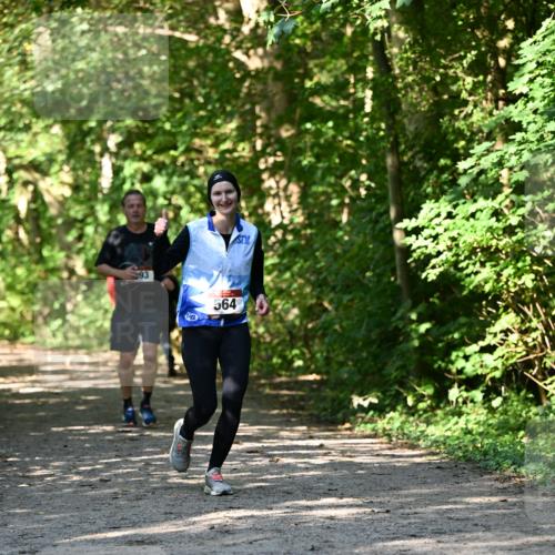 06.10.2024 - Bramfelder Halbmarathon 2024 Dr. Thomas Lammeyer http://msf.ph/oto/7343230 06.10.2024 10:55:02 Laufen 564 meine-sportfotos.de
