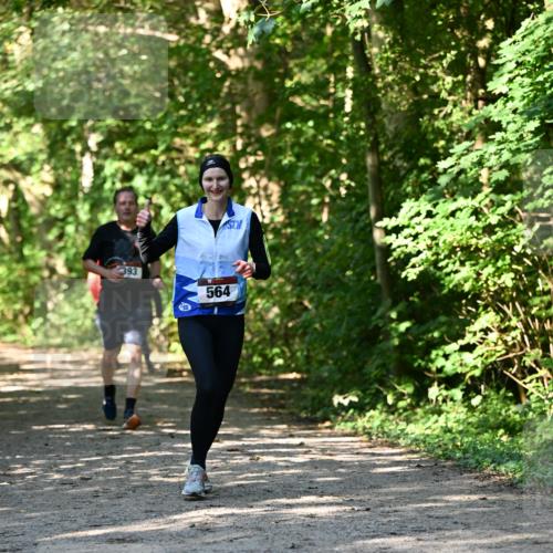 06.10.2024 - Bramfelder Halbmarathon 2024 Dr. Thomas Lammeyer http://msf.ph/oto/7343231 06.10.2024 10:55:02 Laufen  meine-sportfotos.de
