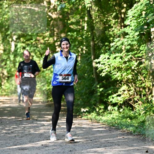 06.10.2024 - Bramfelder Halbmarathon 2024 Dr. Thomas Lammeyer http://msf.ph/oto/7343234 06.10.2024 10:55:02 Laufen 393, 564 meine-sportfotos.de