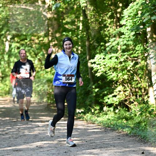 06.10.2024 - Bramfelder Halbmarathon 2024 Dr. Thomas Lammeyer http://msf.ph/oto/7343235 06.10.2024 10:55:03 Laufen 564 meine-sportfotos.de