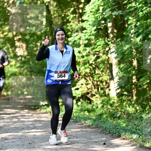 06.10.2024 - Bramfelder Halbmarathon 2024 Dr. Thomas Lammeyer http://msf.ph/oto/7343239 06.10.2024 10:55:03 Laufen 564 meine-sportfotos.de