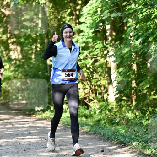 06.10.2024 - Bramfelder Halbmarathon 2024 Dr. Thomas Lammeyer http://msf.ph/oto/7343240 06.10.2024 10:55:03 Laufen 564 meine-sportfotos.de