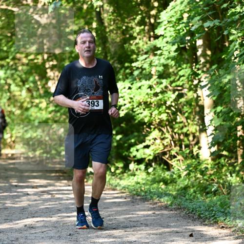 06.10.2024 - Bramfelder Halbmarathon 2024 Dr. Thomas Lammeyer http://msf.ph/oto/7343251 06.10.2024 10:55:05 Laufen  meine-sportfotos.de