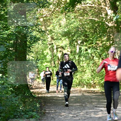 06.10.2024 - Bramfelder Halbmarathon 2024 Dr. Thomas Lammeyer http://msf.ph/oto/7343295 06.10.2024 10:55:38 Laufen 106, 547 meine-sportfotos.de