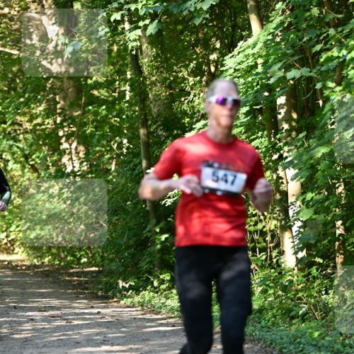06.10.2024 - Bramfelder Halbmarathon 2024 Dr. Thomas Lammeyer http://msf.ph/oto/7343303 06.10.2024 10:55:39 Laufen 547 meine-sportfotos.de