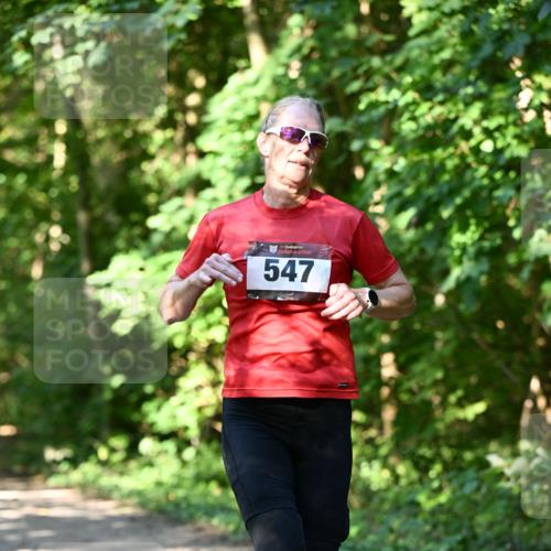 06.10.2024 - Bramfelder Halbmarathon 2024 Dr. Thomas Lammeyer http://msf.ph/oto/7343304 06.10.2024 10:55:40 Laufen 547 meine-sportfotos.de