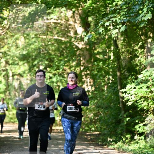 06.10.2024 - Bramfelder Halbmarathon 2024 Dr. Thomas Lammeyer http://msf.ph/oto/7343345 06.10.2024 10:55:53 Laufen 226 meine-sportfotos.de