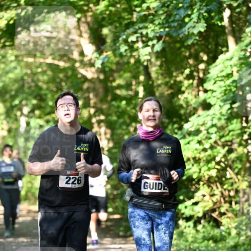 06.10.2024 - Bramfelder Halbmarathon 2024 Dr. Thomas Lammeyer http://msf.ph/oto/7343358 06.10.2024 10:55:55 Laufen 226 meine-sportfotos.de