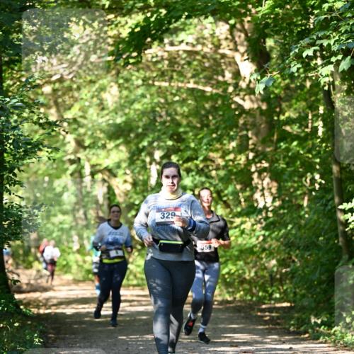 06.10.2024 - Bramfelder Halbmarathon 2024 Dr. Thomas Lammeyer http://msf.ph/oto/7343360 06.10.2024 10:55:59 Laufen 329, 559 meine-sportfotos.de