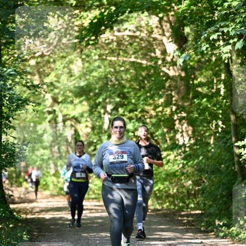 06.10.2024 - Bramfelder Halbmarathon 2024 Dr. Thomas Lammeyer http://msf.ph/oto/7343361 06.10.2024 10:55:59 Laufen 329 meine-sportfotos.de