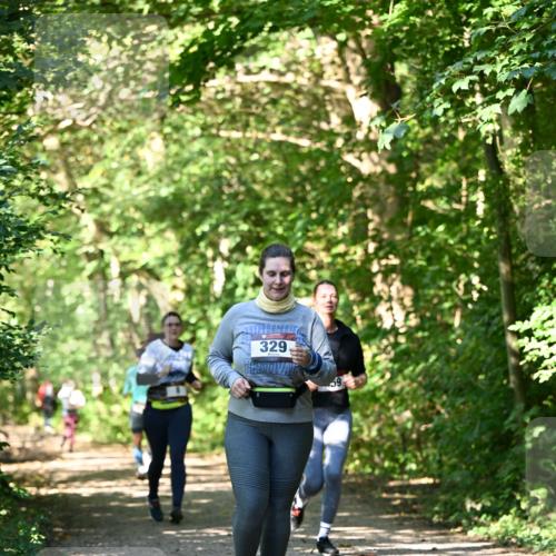 06.10.2024 - Bramfelder Halbmarathon 2024 Dr. Thomas Lammeyer http://msf.ph/oto/7343365 06.10.2024 10:55:59 Laufen 329, 59 meine-sportfotos.de
