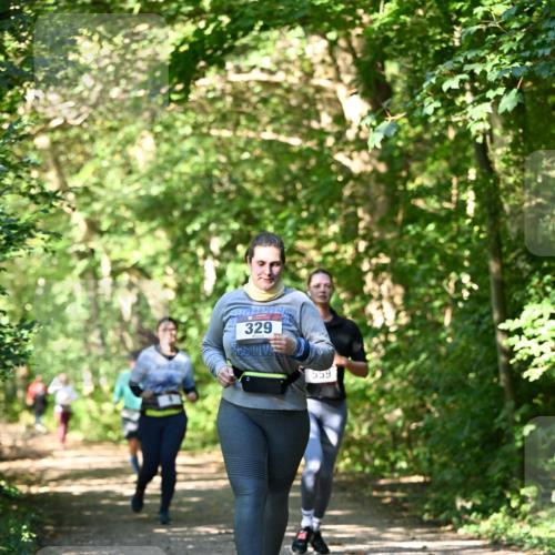 06.10.2024 - Bramfelder Halbmarathon 2024 Dr. Thomas Lammeyer http://msf.ph/oto/7343366 06.10.2024 10:55:59 Laufen 329, 559 meine-sportfotos.de