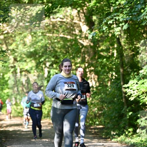 06.10.2024 - Bramfelder Halbmarathon 2024 Dr. Thomas Lammeyer http://msf.ph/oto/7343369 06.10.2024 10:56:00 Laufen 329 meine-sportfotos.de