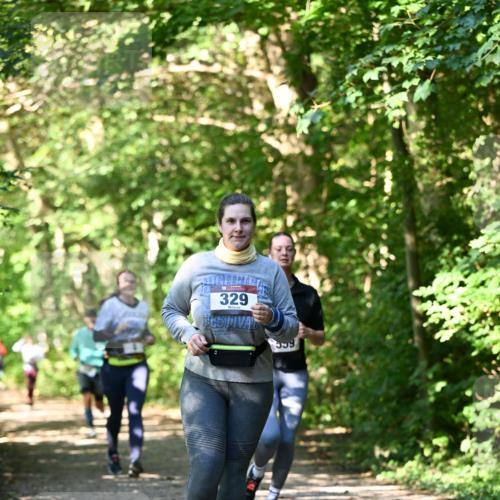06.10.2024 - Bramfelder Halbmarathon 2024 Dr. Thomas Lammeyer http://msf.ph/oto/7343371 06.10.2024 10:56:00 Laufen 329, 559 meine-sportfotos.de