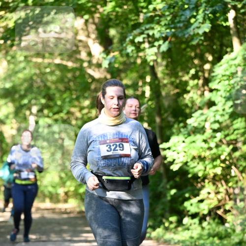 06.10.2024 - Bramfelder Halbmarathon 2024 Dr. Thomas Lammeyer http://msf.ph/oto/7343379 06.10.2024 10:56:01 Laufen 329 meine-sportfotos.de