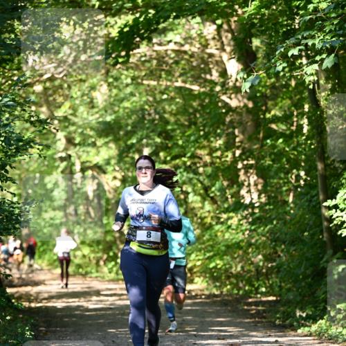 06.10.2024 - Bramfelder Halbmarathon 2024 Dr. Thomas Lammeyer http://msf.ph/oto/7343382 06.10.2024 10:56:03 Laufen 8 meine-sportfotos.de