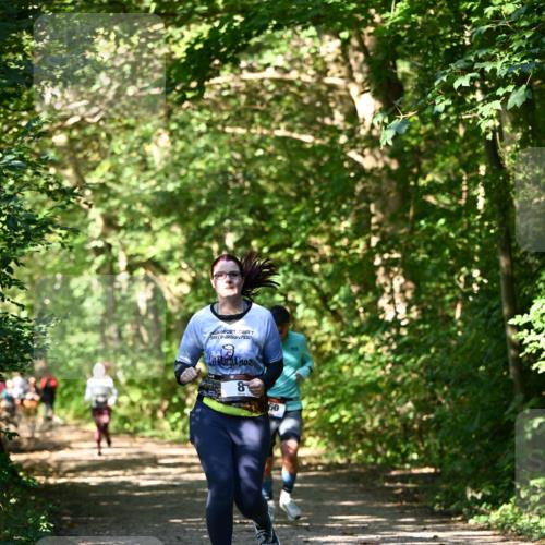 06.10.2024 - Bramfelder Halbmarathon 2024 Dr. Thomas Lammeyer http://msf.ph/oto/7343383 06.10.2024 10:56:03 Laufen 8, 60 meine-sportfotos.de