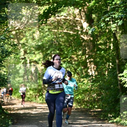 06.10.2024 - Bramfelder Halbmarathon 2024 Dr. Thomas Lammeyer http://msf.ph/oto/7343385 06.10.2024 10:56:03 Laufen 360 meine-sportfotos.de