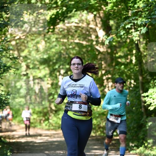 06.10.2024 - Bramfelder Halbmarathon 2024 Dr. Thomas Lammeyer http://msf.ph/oto/7343388 06.10.2024 10:56:05 Laufen 8, 360 meine-sportfotos.de