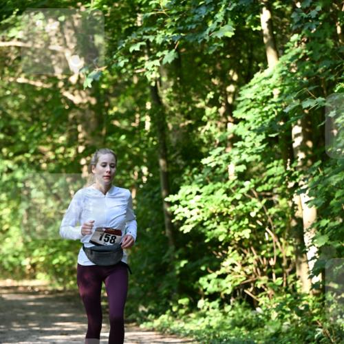 06.10.2024 - Bramfelder Halbmarathon 2024 Dr. Thomas Lammeyer http://msf.ph/oto/7343396 06.10.2024 10:56:14 Laufen 158 meine-sportfotos.de