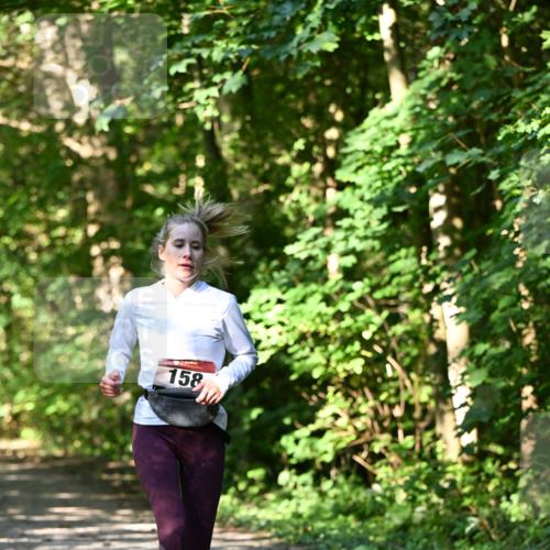 06.10.2024 - Bramfelder Halbmarathon 2024 Dr. Thomas Lammeyer http://msf.ph/oto/7343400 06.10.2024 10:56:15 Laufen 158 meine-sportfotos.de