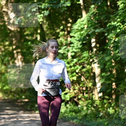 06.10.2024 - Bramfelder Halbmarathon 2024 Dr. Thomas Lammeyer http://msf.ph/oto/7343403 06.10.2024 10:56:15 Laufen 158 meine-sportfotos.de